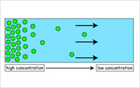 DIFFUSION